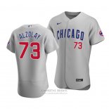 Camiseta Beisbol Hombre Chicago Cubs Adbert Alzolay Autentico Road Gris