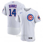 Camiseta Beisbol Hombre Chicago Cubs Ernie Banks Primera Autentico Retired Blanco