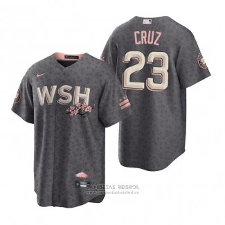 Camiseta Beisbol Hombre Washington Nationals Nelson Cruz 2022 City Connect Replica Gris