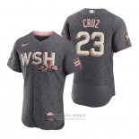 Camiseta Beisbol Hombre Washington Nationals Nelson Cruz 2022 City Connect Autentico Gris