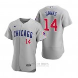 Camiseta Beisbol Hombre Chicago Cubs Ernie Banks Autentico 2020 Road Gris
