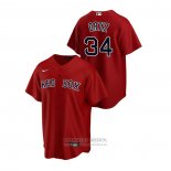 Camiseta Beisbol Hombre Boston Red Sox David Ortiz Replica Alterno Rojo