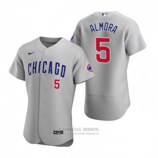 Camiseta Beisbol Hombre Chicago Cubs Albert Almora Jr. Autentico 2020 Road Gris