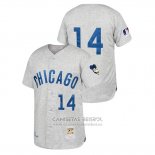 Camiseta Beisbol Hombre Chicago Cubs Ernie Banks Cooperstown Collection 1969 Autentico Segunda Gris